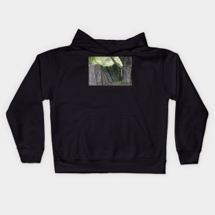 Overgrown wooden fence Kids Hoodie